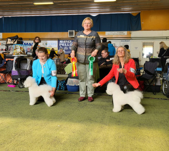 RemasterDirector_5122f8b34