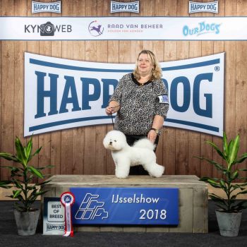EXPRESS_BICHON_IJSSELSHOW_2018_Kynoweb_-20180623-15-50-02-KY3_22852597