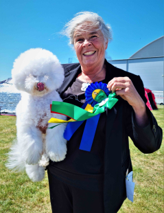 SE-UCH-Bichebos-Amazing-Aurora-By-Thor