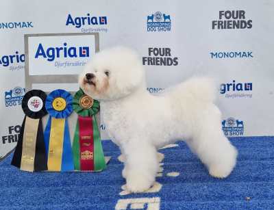 SE-UCH-FI-UCH-Pobe-S-So-Go-With-The-Flow