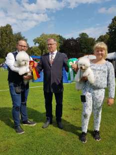 2019-08-10-Ronneby-Ronnebybrun2