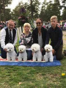 BIS-2a-uppfödargrupp-kennel-Hardy-Flaps-Domare-Bertil-Lundgren-Sverige