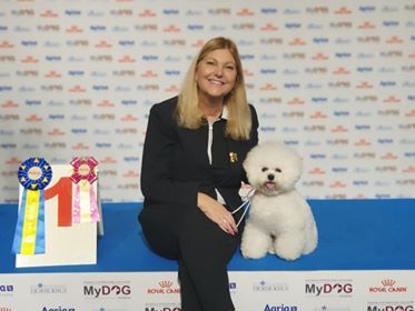 kenzo-my-dog-1