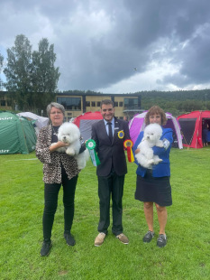 Boras-SKK-Nationella-Dog-Show-2023-07-02