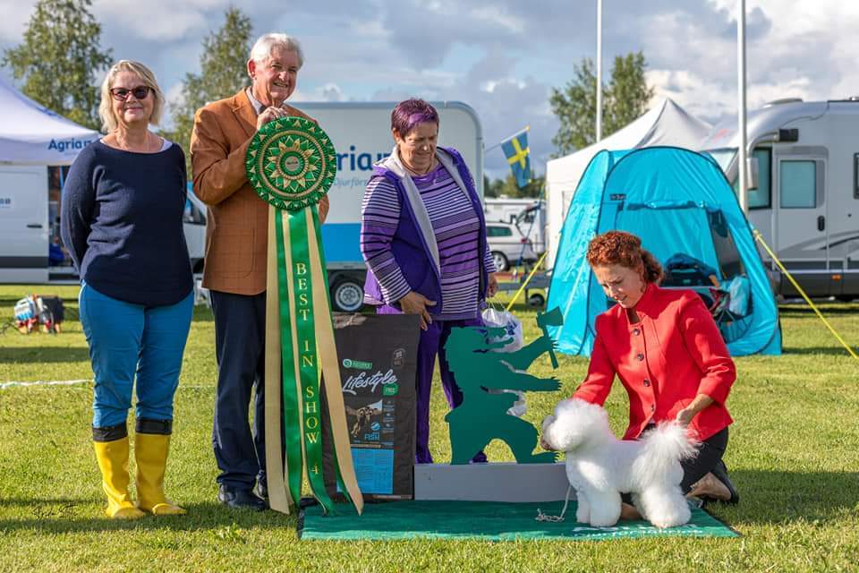 FB_IMG_1723549080300