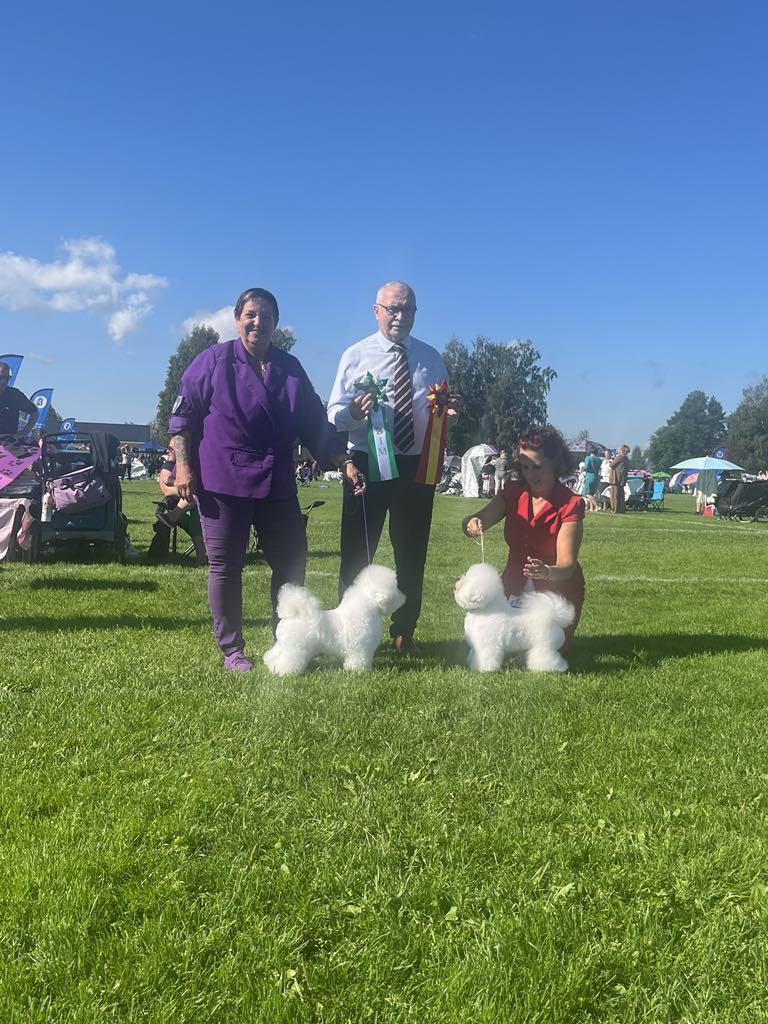 Messenger_creation_4632d91d-6db2-4b06-84e0-9bdddf2614bd