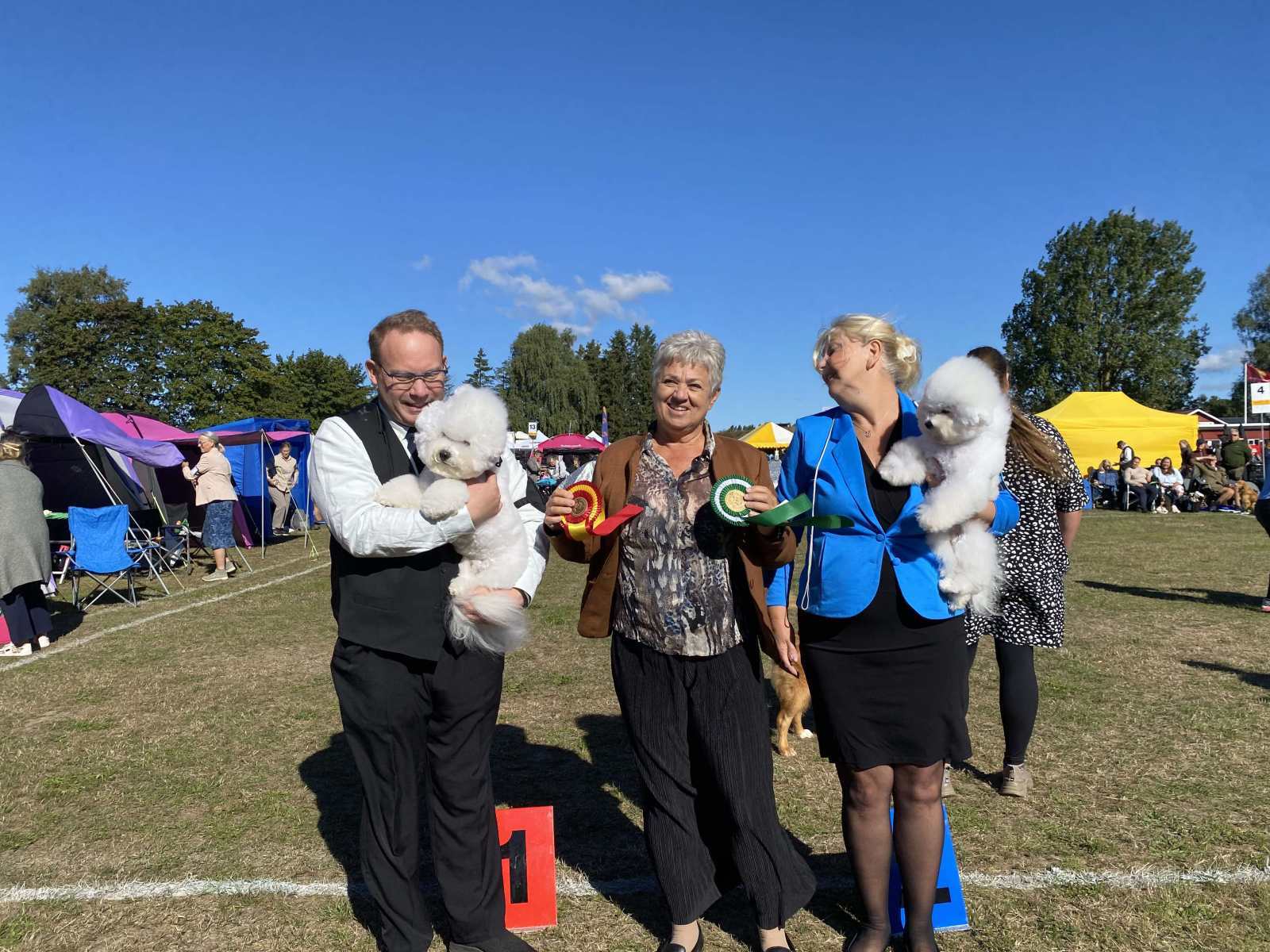 received_1512350596308657